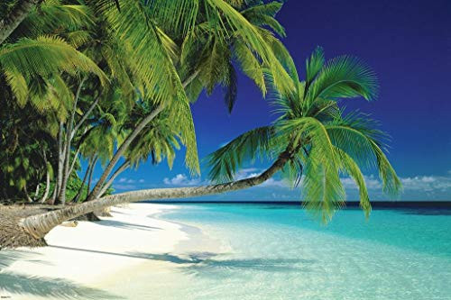 Pyramid America Maldives Polynesian Tropical Beach Photography Art Print Cool Huge Large Giant Poster Art 54x36