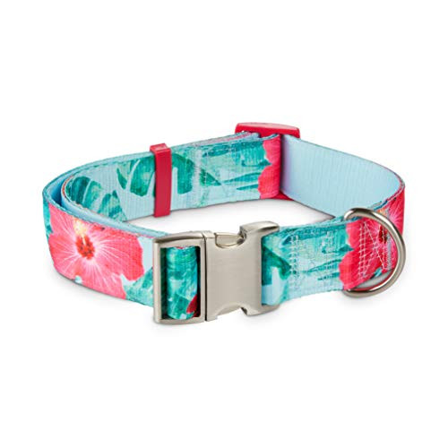 Petco Brand - Good2Go Pink  and  Green Flower Power Big Dog Collar- X-Large/XX-Large- Multi-Color