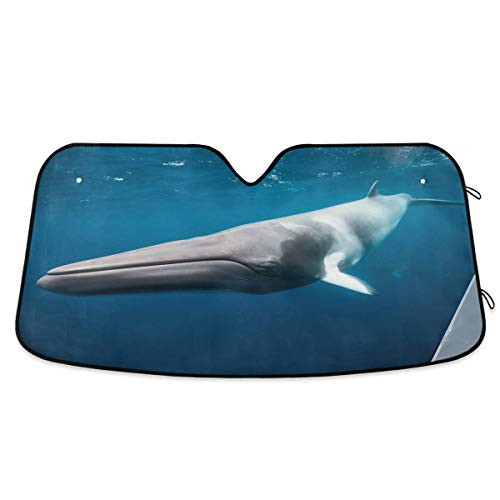 Blueangle Underwater Whales Windshield Sun Shade Universal-Fit Size Chart for Cars Suv Trucks Minivans Sunshades Keeps Your Vehicle Cool Heat Shield