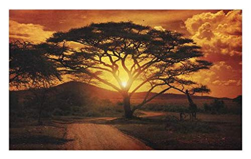 Lunarable Sunset Doormat- Majestic Tree with Horizon Background Mystic Nature Dramatic Landscape- Decorative Polyester Floor Mat with Non-Skid Backing- 30inch X 18inch- Orange Black