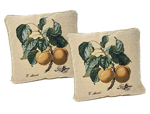 DaDa Bedding Throw Pillow Covers - Set of Two Yellow Apricot - Elegant Square Colorful Fruit Decor - 2-Pieces - 18inch x 18inch