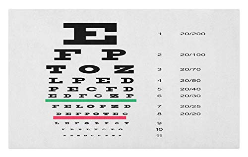 Ambesonne Eye Chart Doormat- Post with Big and Smaller Alphabetic and Numbers- Decorative Polyester Floor Mat with Non-Skid Backing- 30inch X 18inch- Pale Grey Charcoal Grey