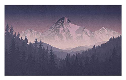 Ambesonne Northwoods Doormat- Foggy Mountain Range Coniferous Trees Adventure in Wilderness- Decorative Polyester Floor Mat with Non-Skid Backing- 30inch X 18inch- Dark Purple Grey and Mauve Ambesonne Northwoods Doormat- Foggy Mountain Range Coniferous Trees Adventure in Wilderness- Decorative Polyester Floor Mat with Non-Skid Backing- 30inch X 18inch- Dark Purple Grey and Mauve