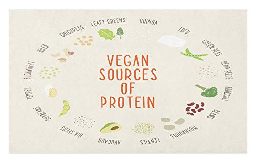 Ambesonne Vegan Doormat- Vegan Sources of Protein Concept with Vegetables and Names in Circular Chart- Decorative Polyester Floor Mat with Non-Skid Backing- 30inch X 18inch- Multicolor
