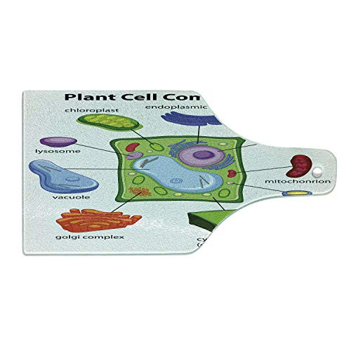 Ambesonne Science Cutting Board- Chart Showing Plant Cell Components in Cartoon Style Science Living Structure- Decorative Tempered Glass Cutting and Serving Board- Wine Bottle Shape- Multicolor