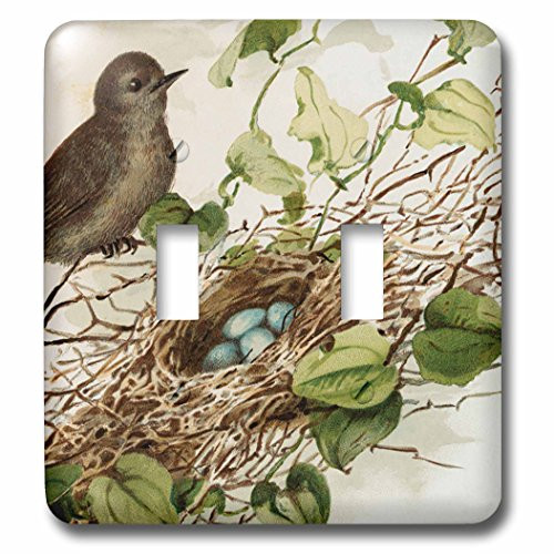 3dRose -lsp_264651_2- Double Toggle Switch Brown Bird Over Branch and Nest Full of Eggs
