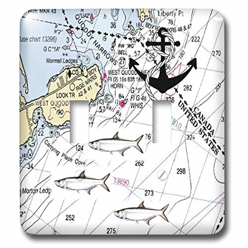 3dRose LSP_204866_2 Print of Bay of Fundy Chart with Anchor Double Toggle Switch