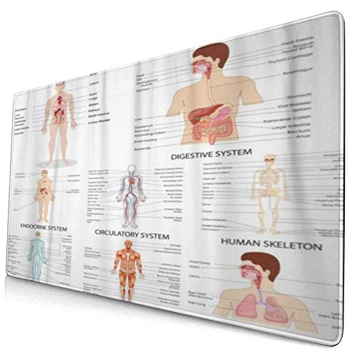 KENADVI Large Gaming Mouse Pad-Anatomy of Complete Chart Different Human Organ System Body-Desk Mousepad with Non-Slip Base and Stitched EDG for Gaming and Office-29.5inch x 15.8inch x 0.12inch