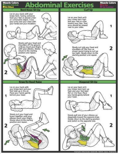 Fitnus Chart Series Abdominal 17inch X 22inch Laminated