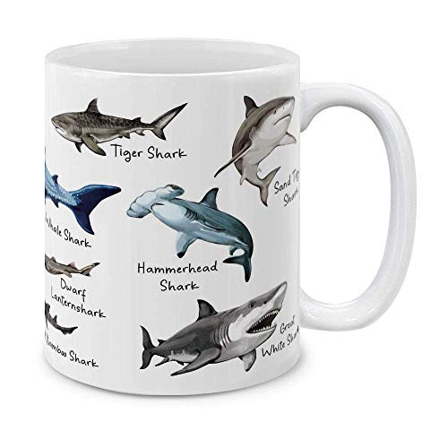 Sharks Chart Ceramic Coffee Mug Tea Cup 11 OZ