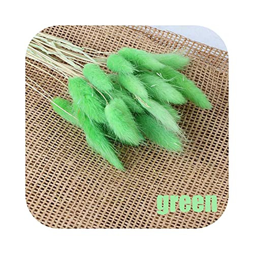 LAVOGUE Artificial Flowers-Rabbit Tail Grass Dried-30 Pcs/Lot Natural Dried Flowers Colorful Flower Bouquet for Rabbit Tail Grass Bunch Artificial-Green