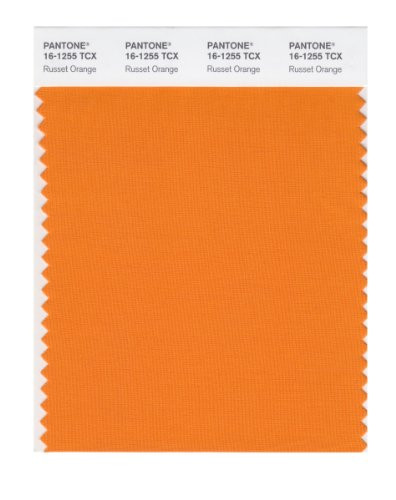 PANTONE Smart 16-1255X Color Swatch Card- Russet Orange