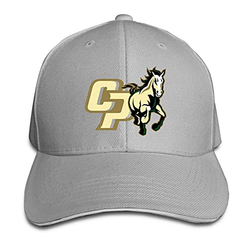 Cal Poly Mustang Peaked Baseball Cap Hat Baseball Sun Hat Sandwich Cap Gray
