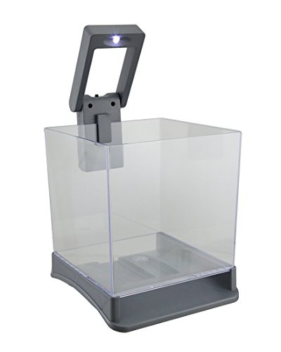 Aqua Culture Betta Cube with LED Light-Aqua-Tech-ML90579 by AquaTech