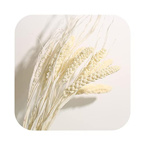 LAVOGUE Artificial Flowers-Natural Dried Reed Flowers Rabbit Tail Grass Real Plant Used for Party Wedding DIY Bouquet Decoration-As Chart-10Pcs About 60Cm