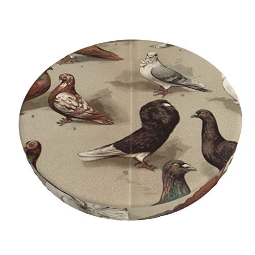 Bar Stool Covers-Vintage Pigeon Breeds Chart Round Bar Stool Cover Washable Stool Cushio Slipcover for Home Bar Hotel Use 13in