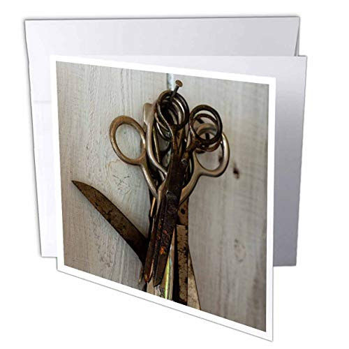 3dRose Alexis Photography - Objects Tools - A Number of Vintage Metal Scissors Hang on a Nail derived in a Wall - 12 Greeting Cards with envelopes -gc_304531_2-
