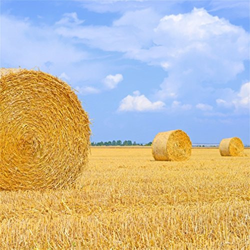 CSFOTO 5x5ft Background For Haystack Hay Roll Bale Photography Backdrop Autumn Field Landscape Farm Harvest Countryside Village View Rural Photo Studio Props Wallpaper Agriculture Yellow Fall CSFOTO 5x5ft Background For Haystack Hay Roll Bale Photography Backdrop Autumn Field Landscape Farm Harvest Countryside Village View Rural Photo Studio Props Wallpaper Agriculture Yellow Fall