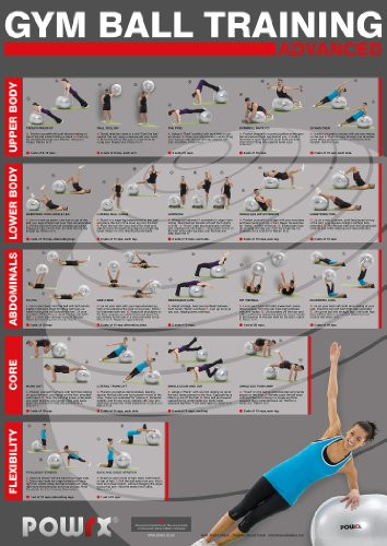 Gym ball/ exercise/ yoga ball workout - level 2