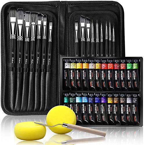 VIKEWE Acrylic Paint Set- 44 Piece Professional Painting Set- Includes 24 Acrylic Paints- 16 Pcs Paint Brushes with Case-Paint Knife and Art Sponge for Watercolor- Oil- Artists- Students and Kids