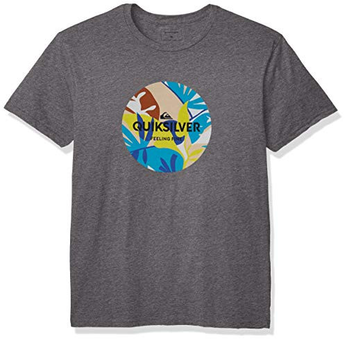 Quiksilver Men's Summers END TEE- Medium Grey Heather- M