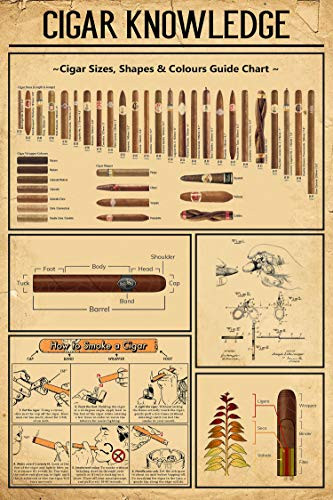 Funny Cosmos Cigar Knowledge Poster Cigar Size Shape Colours Size Chart Poster