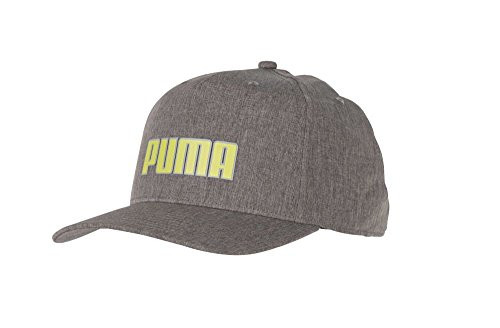 Puma Golf 2018 Men's Go Time Flex Snapback Hat -Quiet Shade- One Size-