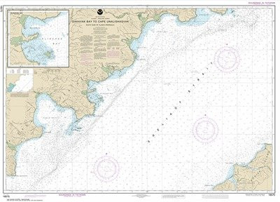 Synthetic Media NOAA Chart 16575- Dakavak Bay to Cape Unalishagvak- Alinchak Bay