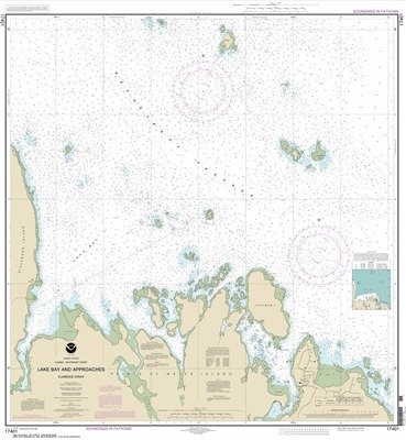 Synthetic Media NOAA Chart 17401- Lake Bay and approaches- Clarence Str.