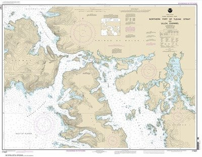 Synthetic Media NOAA Chart 17407- Northern part of Tlevak Strait and Uloa Channel