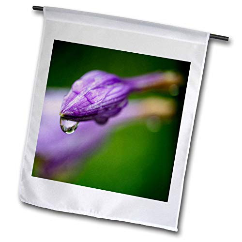 3dRose Mike Swindle Photography - Flowers - Water Drop on Purple Bloom - Flags -fl_336446_2-