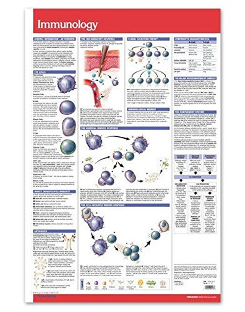 Immunology Biology 24inch x 36inch Laminated Reference Wall Poster by Permacharts Immunology Biology 24inch x 36inch Laminated Reference Wall Poster by Permacharts