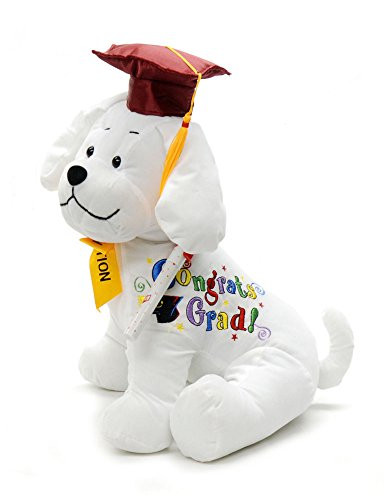 Graduation Autograph Stuffed Dog With Pen, Red Hat - Congrats Grad! 10.5"
