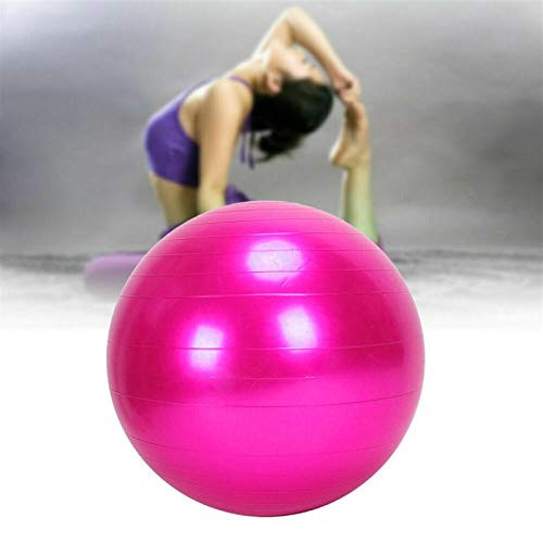 hgkl Exercise Ball Sports Yoga Ball Pilates Fitness Ball Gym Balance Fitness Pilates Exercise Fitness Massage Ball with Pump 65cm -Color - SL-
