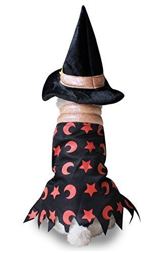 Pet Dog Cat Black/Orange Star Witch Plus Hat Halloween Party Fancy Dress Costume Outfit Clothes -Extra Large-