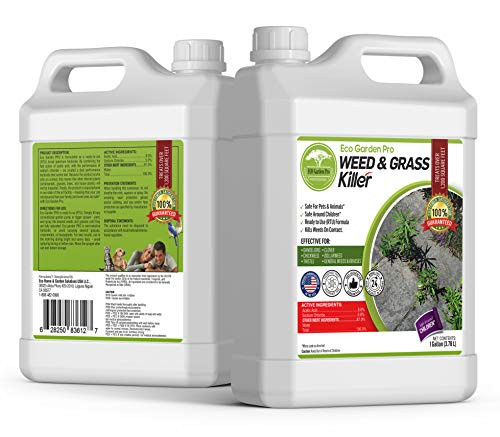 ECO Garden PRO - Organic Vinegar Weed Killer | Kid Safe Pet Safe | Clover Killer for Lawns | Moss Killer | Green Grass  and  Poison Ivy Killer | Spray Ready Glyphosate Free Herbicide -1 Gallon-