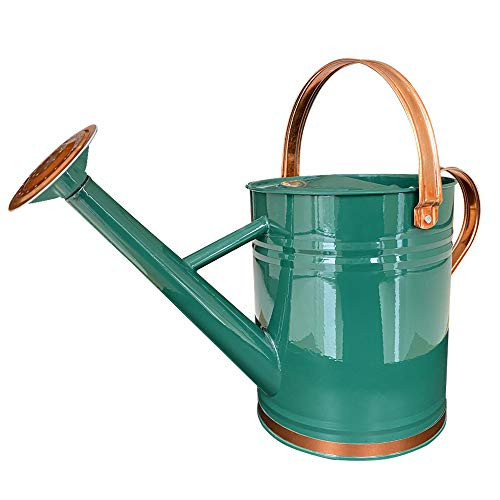 SunnyTong Galvanized Steel Watering Can Metal Watering Can for Outdoor Plants with Copper Accents 1 Gallon- Green