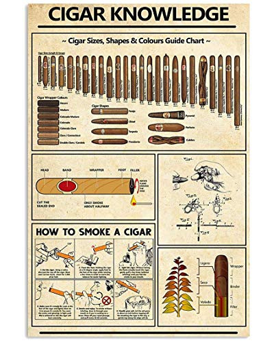 Andreychikovy Cigar Knowledge Sizes Shapes and Colours Guide Chart for Lovers Poster