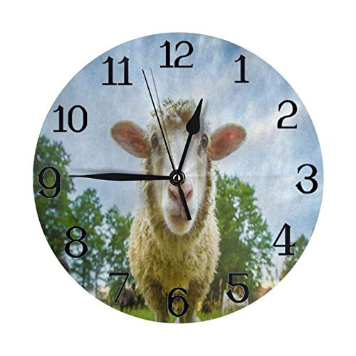 Wall Clocks for Bedrooms Large Clock Round Wall Clock- Silent Non-Ticking Decor Round Wall Clock Quality Quartz Battery- 9.8in