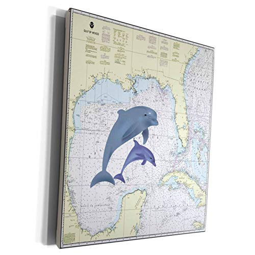 3dRose Florene - Nautical Map Decor - Print of Cape Coral Florida Chart With Dolphins - Museum Grade Canvas Wrap -cw_204859_1- 3dRose Florene - Nautical Map Decor - Print of Cape Coral Florida Chart With Dolphins - Museum Grade Canvas Wrap -cw_204859_1-