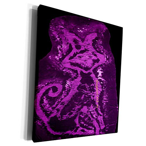 3dRose Yves Creations Krazy Kool Kat - Krazy Kool Kat In Bright Purple Pink - Museum Grade Canvas Wrap -cw_6991_1-