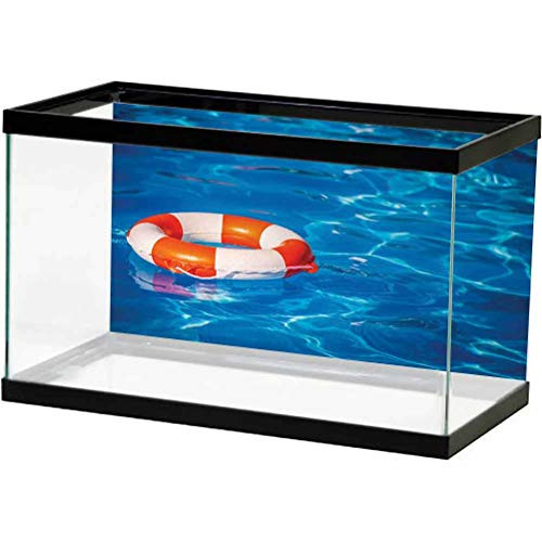 Buoy Aquarium Background Life Buoy in Crystal Clear Swimming Pool Summer Relaxing Vacation Sports Theme PVC Adhesive Static Cling Backdrop Decorative Paper Blue Orange White L36 X H20 Inch