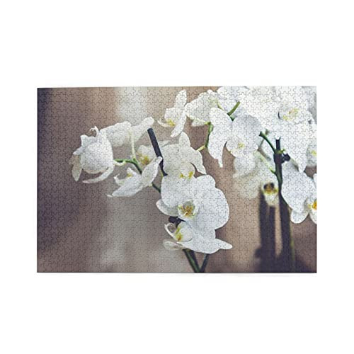 Jigsaw Puzzle 1000 Pieces-White Orchids Tropical Flowers Orchids Orchid Branch Jigsaw Puzzle- Adults Children's Puzzle Toy- DIY Collectibles Modern Home Decoration -29.5x19.7inch-