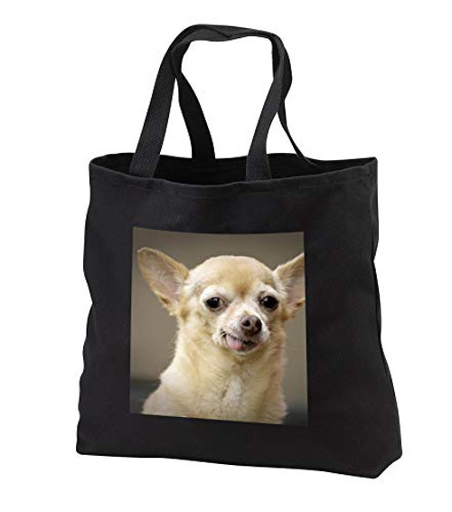3dRose Danita Delimont - Dogs - Toothless Chihuahua Dog- Santa Fe- New Mexico - US32 JMR0502 - Julien McRoberts - Black Tote Bag JUMBO 20w x 15h x 5d -tb_92682_3- 3dRose Danita Delimont - Dogs - Toothless Chihuahua Dog- Santa Fe- New Mexico - US32 JMR0502 - Julien McRoberts - Black Tote Bag JUMBO 20w x 15h x 5d -tb_92682_3-