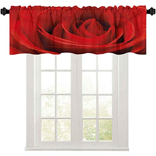 Kitchen Valance- Close Up of a Red Rose Bloom Fresh Natural Beauty Love Valentines Day Couples Theme- 50inch W x 18inch L Kitchen Valances for Windows- Vermilion Kitchen Valance- Close Up of a Red Rose Bloom Fresh Natural Beauty Love Valentines Day Couples Theme- 50inch W x 18inch L Kitchen Valances for Windows- Vermilion
