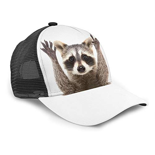 MFILUDTY Trucker Hat Racoons Print Mesh Baseball Cap Adjustable Dad Hats for Women  and  Men Black