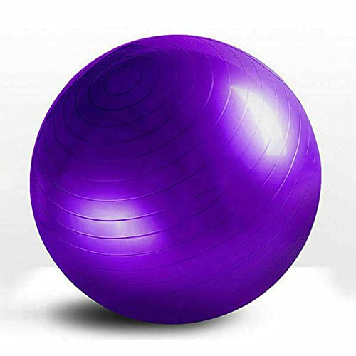 Exercise Ball Gym Yoga Fitness Leg Workout Balance Trainer Workout Equipment Home Gym Exercise Ball Exercise Equipment Yoga Ball Gym Equipment Fitness Equipment Squishy Ball Home Workout Equipment