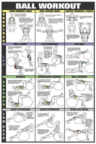 Co-ed Swiss Ball Workout II 24inch X 36inch Laminated Chart - Shoulder- Leg- Abs- Low Back