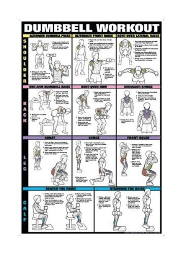 Dumbbell Workout Ii 24inch X 36inch Laminated Chart -Shoulder- Back- Leg-  and  Calf-
