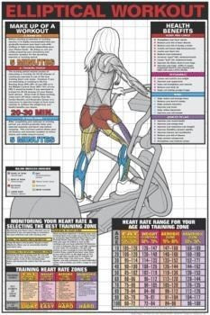 Elliptical Workout 24inch x 36inch Laminated Fitness Poster